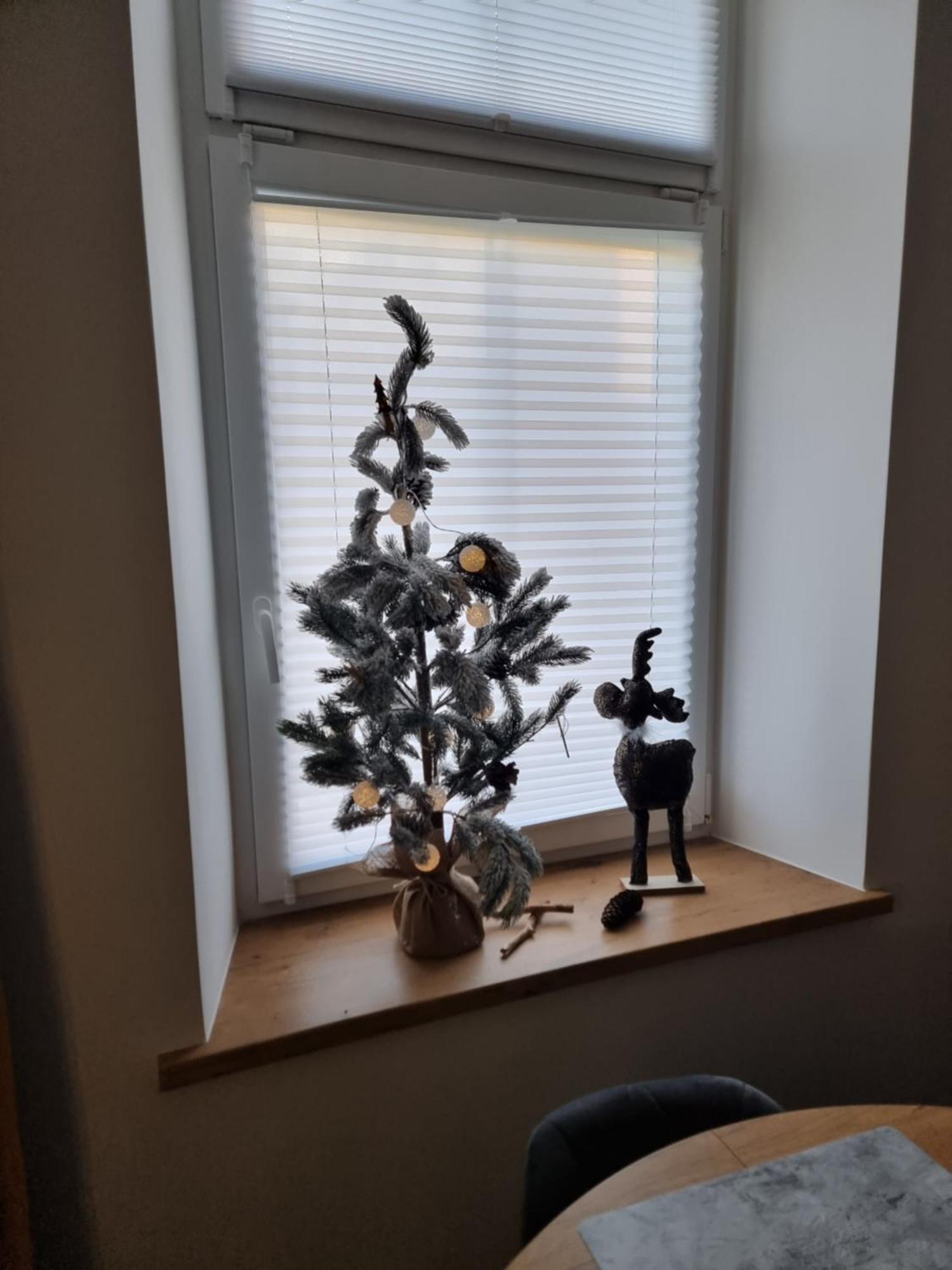 Apartament Lux Lemon Jelenia Góra Zewnętrze zdjęcie