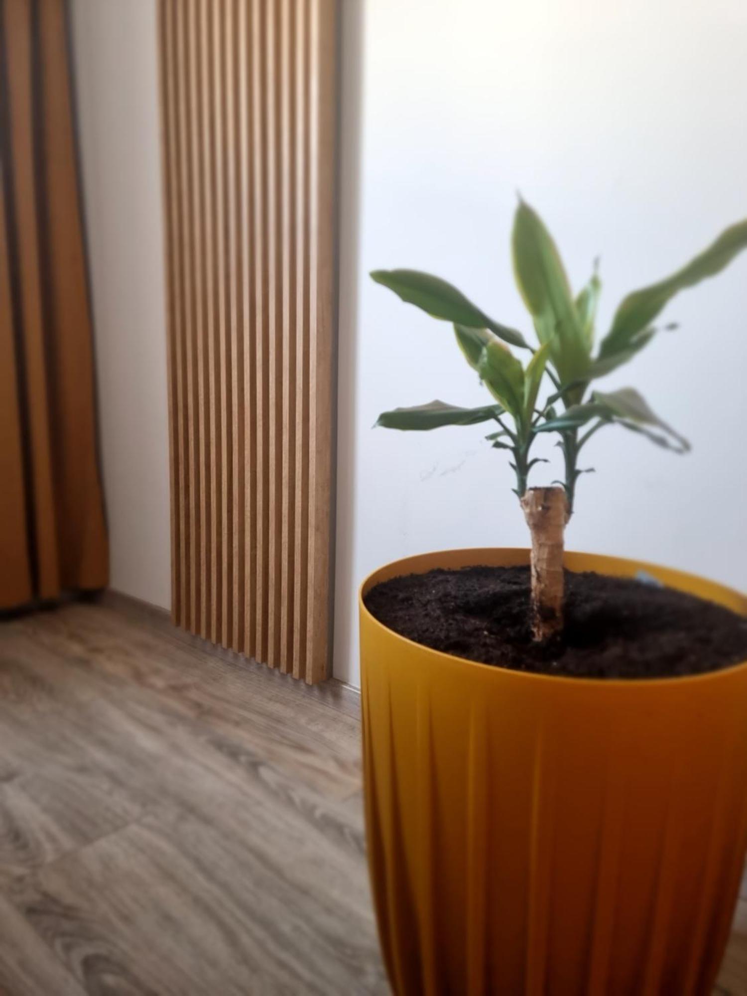 Apartament Lux Lemon Jelenia Góra Zewnętrze zdjęcie